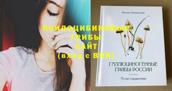 МДПВ Туринск