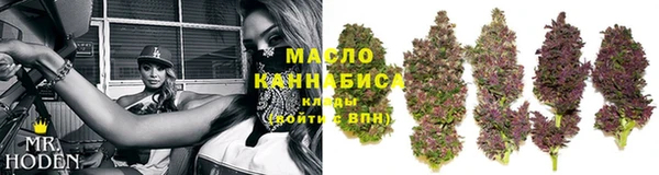 МДПВ Туринск