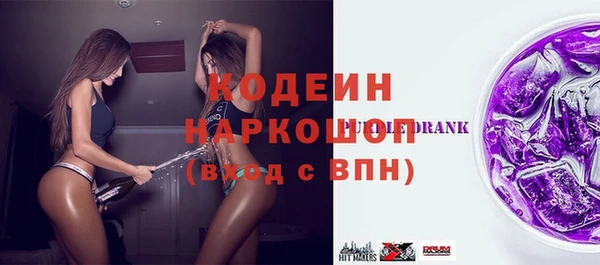МДПВ Туринск