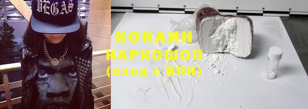 МДПВ Туринск