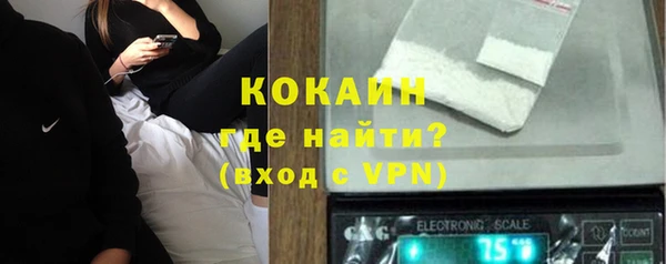 МДПВ Туринск