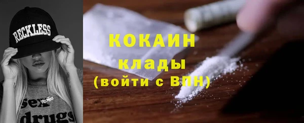 МДПВ Туринск