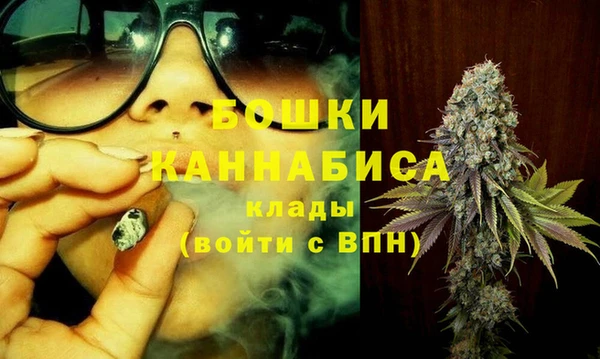 мдпв Тында
