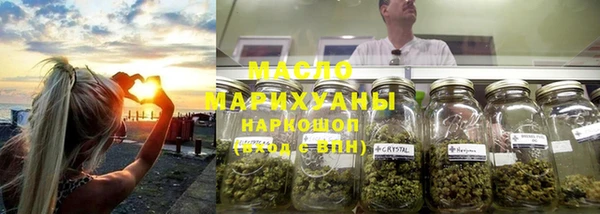 МДПВ Туринск