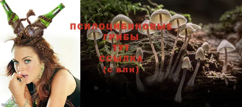 Псилоцибиновые грибы Psilocybe  цена наркотик  нарко площадка клад  Болгар 